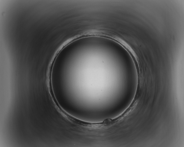 X0000097851437200803201529