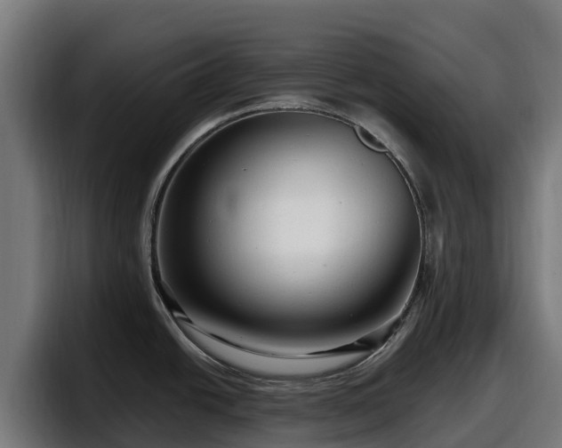 X0000097851438200803201529