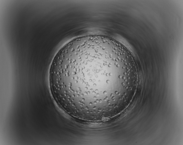 X0000097851439200803201529