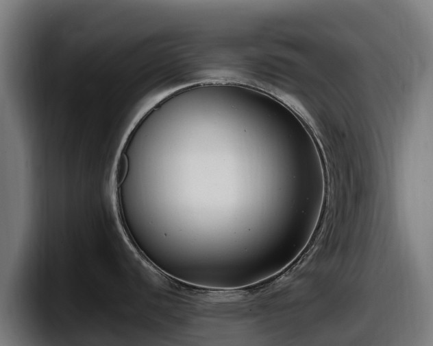 X0000097851440200803201529