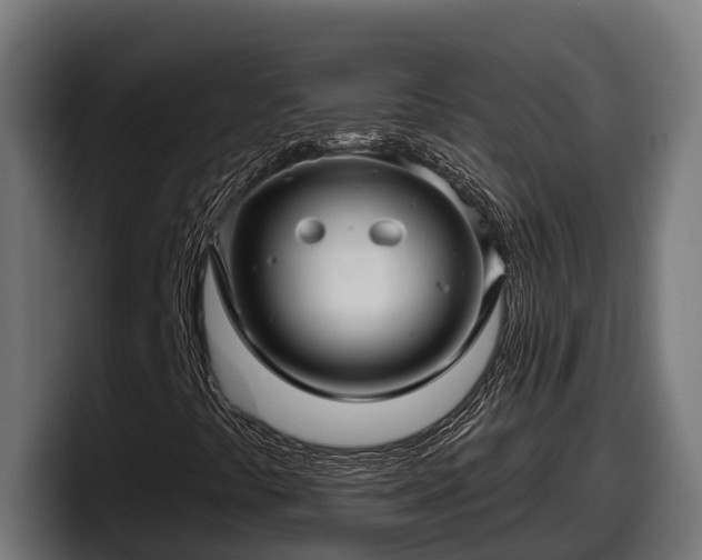 X0000097851441200803201528
