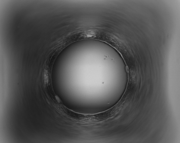 X0000097851442200803201528