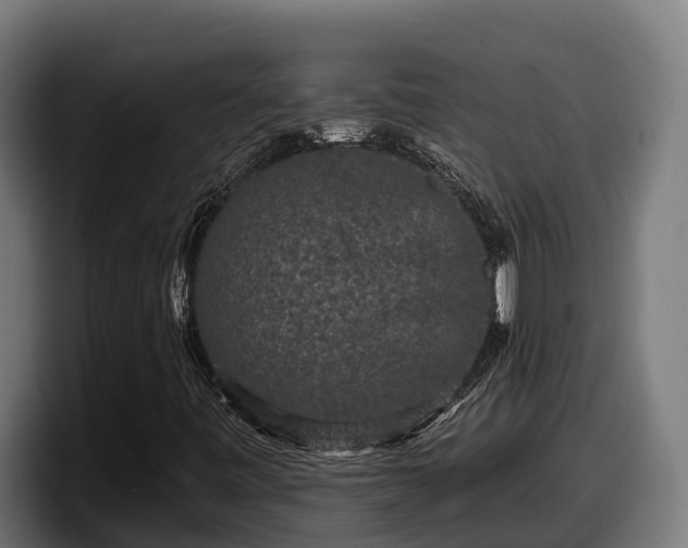 X0000097851443200803201528