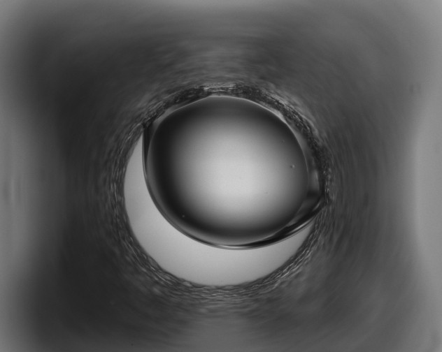X0000097851445200803201528