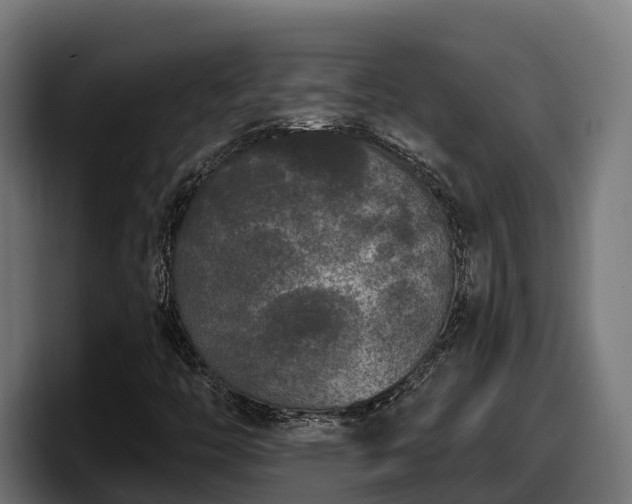 X0000097851446200803201528