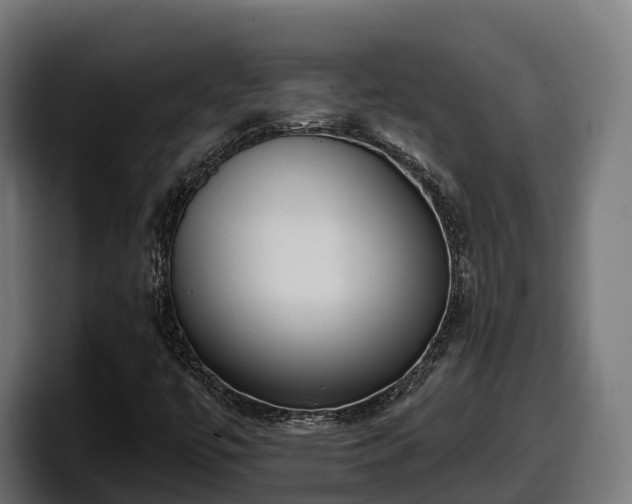 X0000097851447200803201528