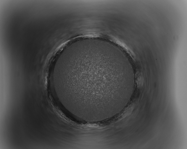 X0000097851448200803201528