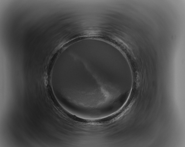 X0000097851449200803201528