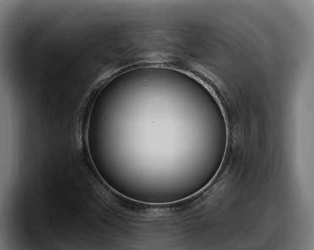 X0000097851451200803201528