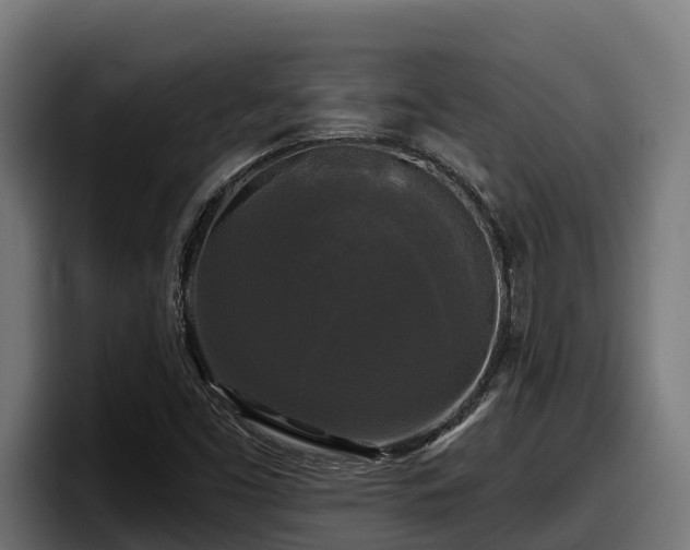 X0000097851453200803201528