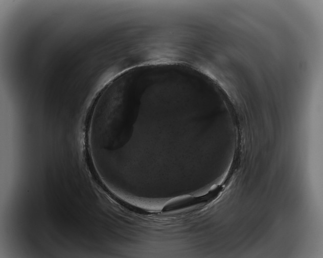 X0000097851459200803201528