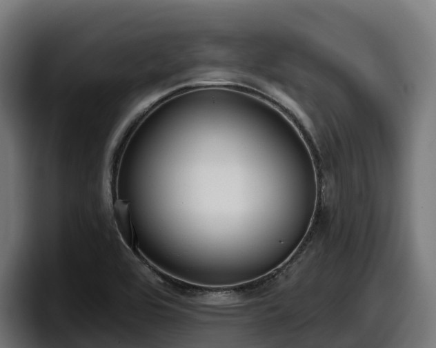 X0000097851464200803201528