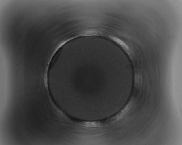X0000097851465200803201528