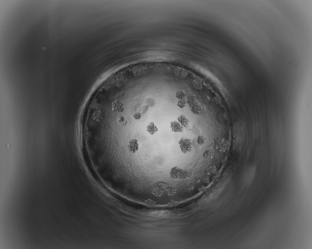 X0000097851467200803201528