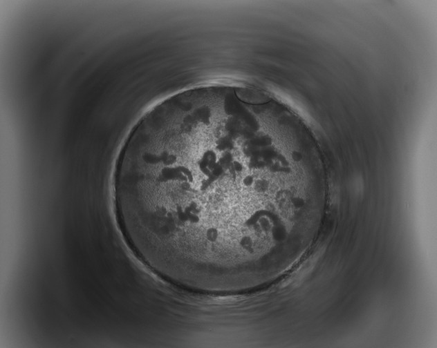 X0000097851471200803201528