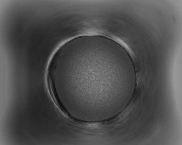X0000097851472200803201528