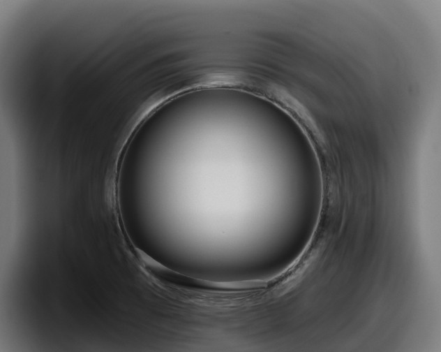 X0000097851473200803201528