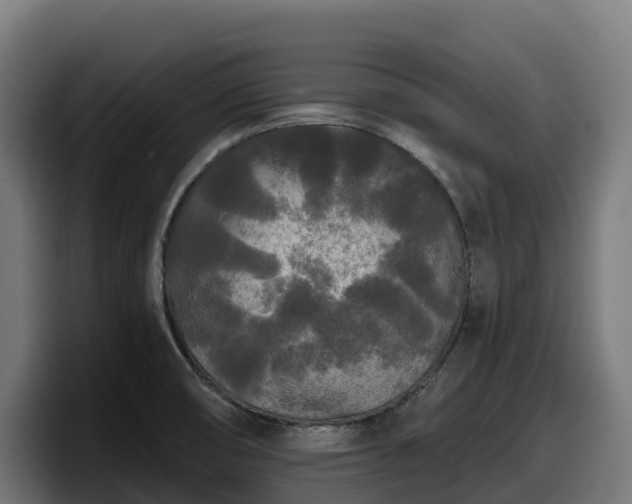 X0000097851474200803201528