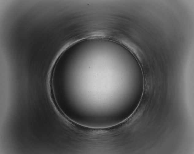 X0000097851475200803201528