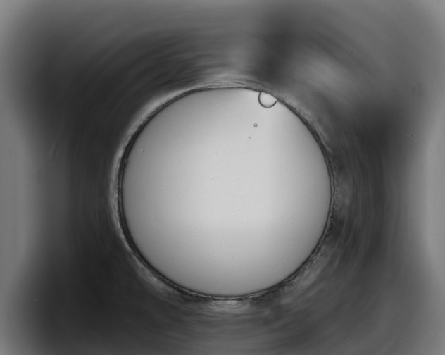X0000097851478200803201528