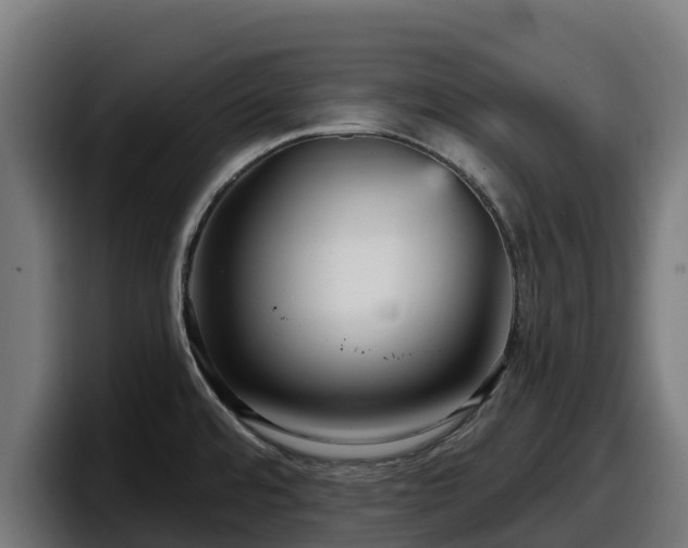 X0000097851480200803201528