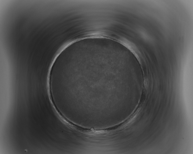 X0000097851482200803201528