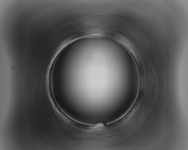 X0000097851483200803201528