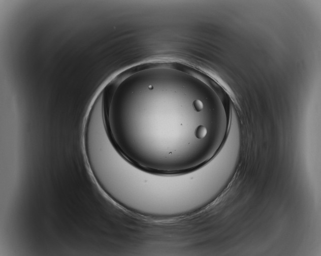 X0000097851484200803201528