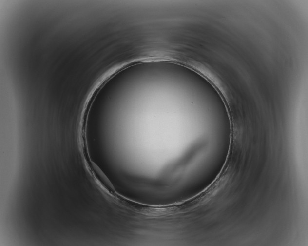 X0000097851485200803201528