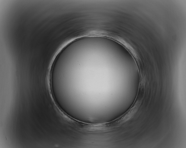 X0000097851486200803201528