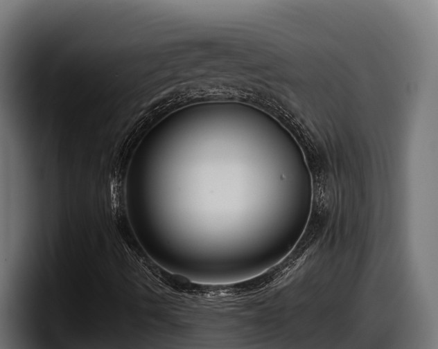X0000097851490200803201527