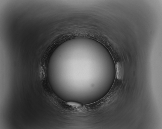 X0000097851491200803201527