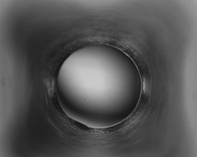 X0000097851492200803201527
