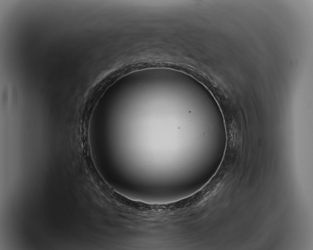 X0000097851494200803201527
