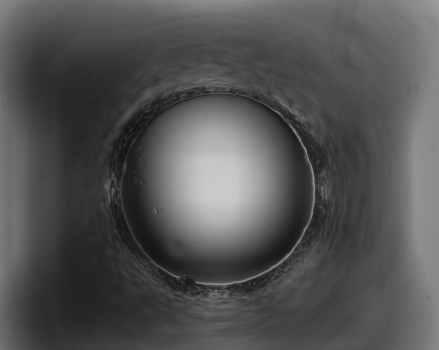 X0000097851495200803201527