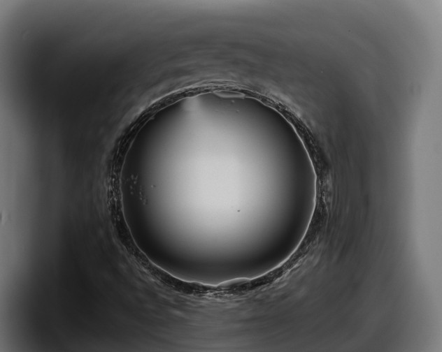 X0000097851496200803201527