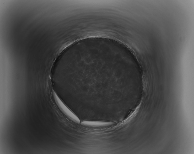X0000097851497200803201527