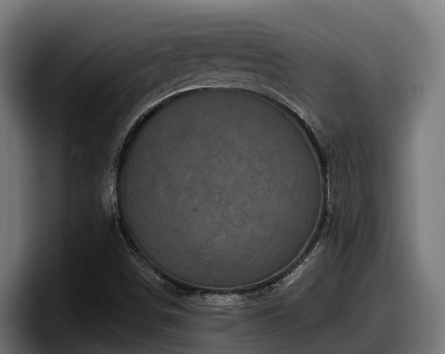 X0000097851498200803201527