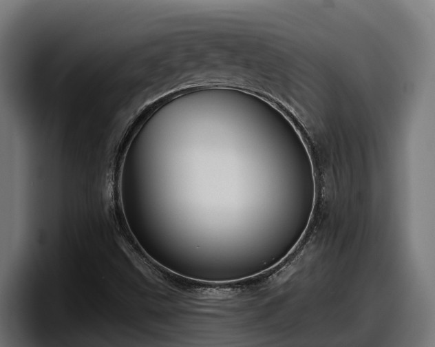 X0000097851499200803201527