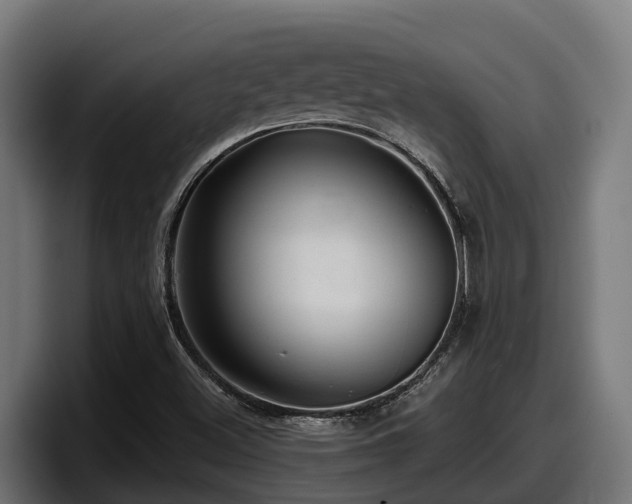 X0000097851500200803201527