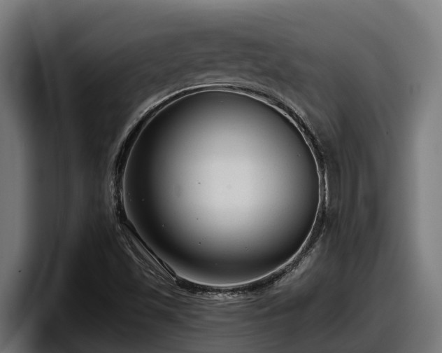 X0000097851501200803201527