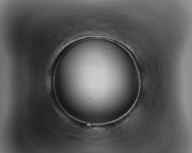 X0000097851503200803201527