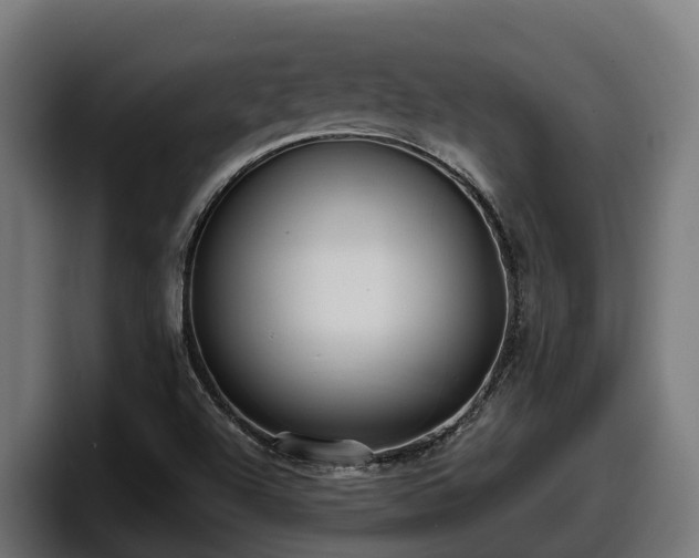 X0000097851504200803201527
