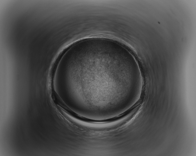 X0000097851506200803201527