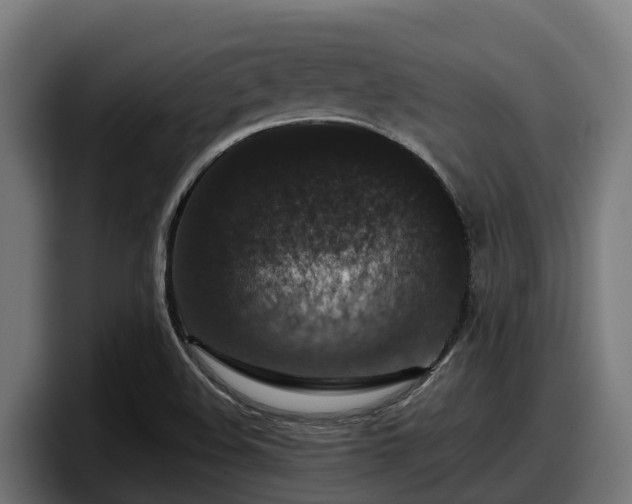 X0000097851508200803201527