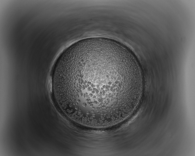 X0000097851509200803201527