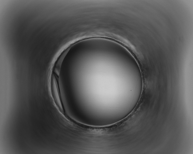 X0000097851512200803201527