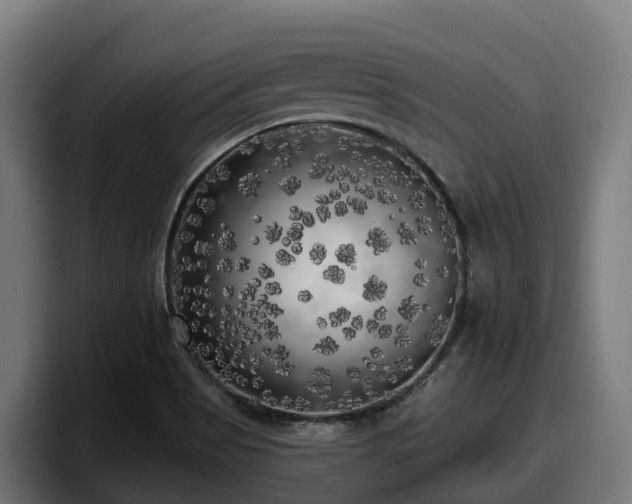 X0000097851513200803201527