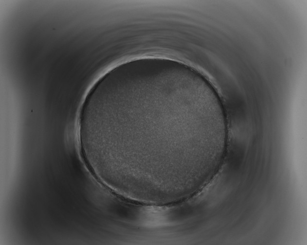 X0000097851514200803201527