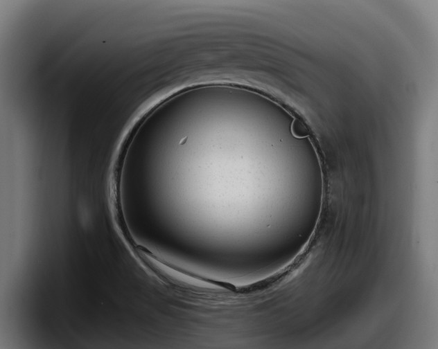 X0000097851517200803201527